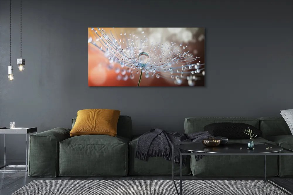 Obraz na płótnie Poranny Detal Dmuchawca