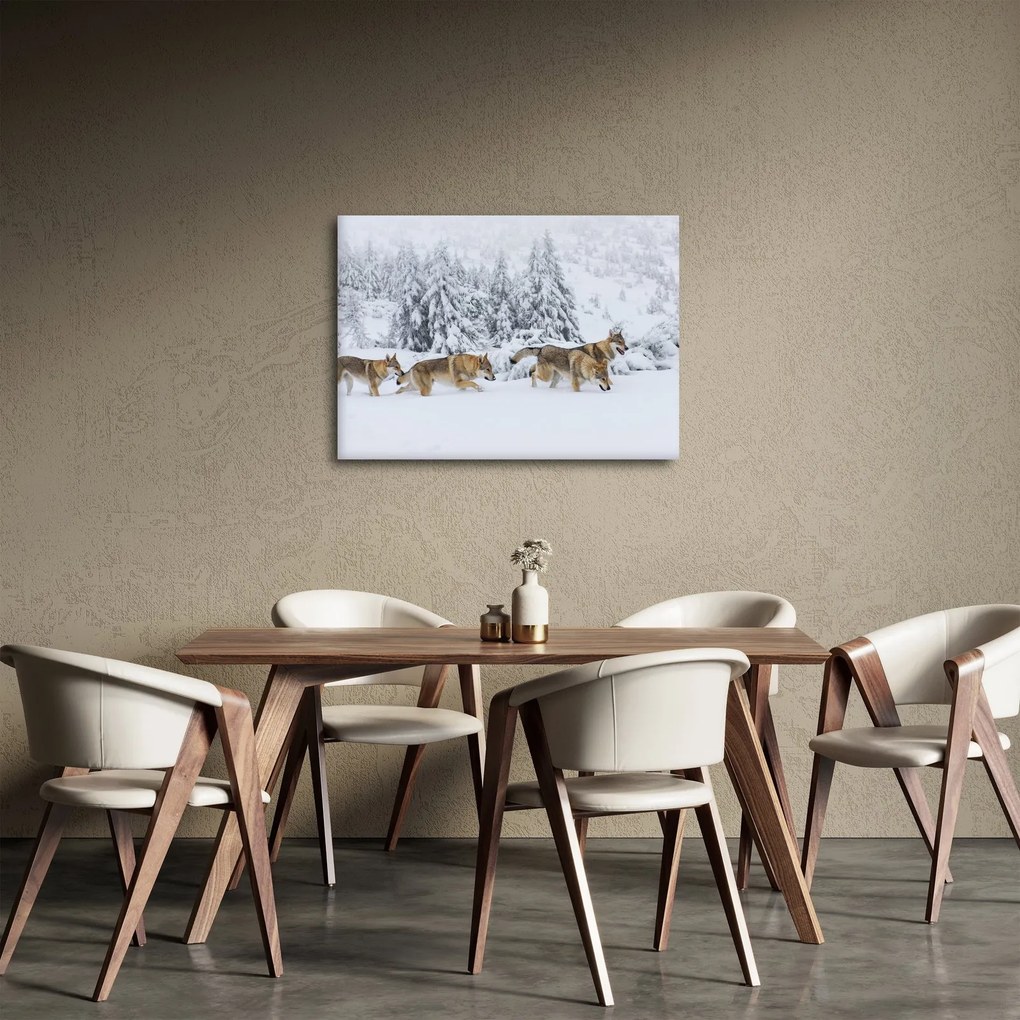 Obraz - Wilki w górach (70x50 cm)