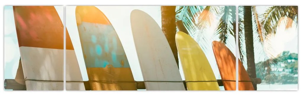 Obraz - Deski surfingowe (170x50 cm)