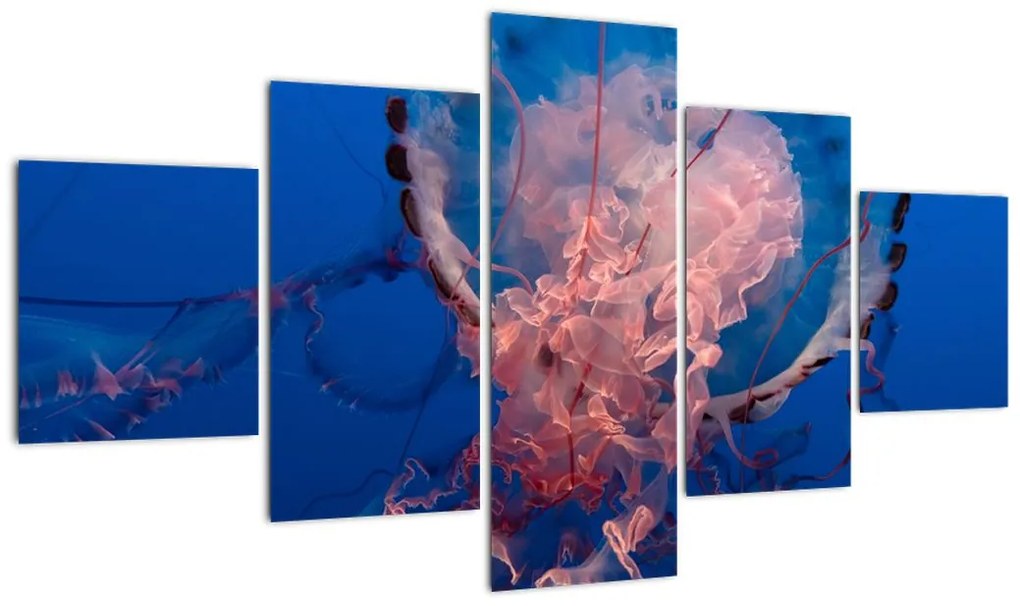 Obraz meduzy (125x70 cm)