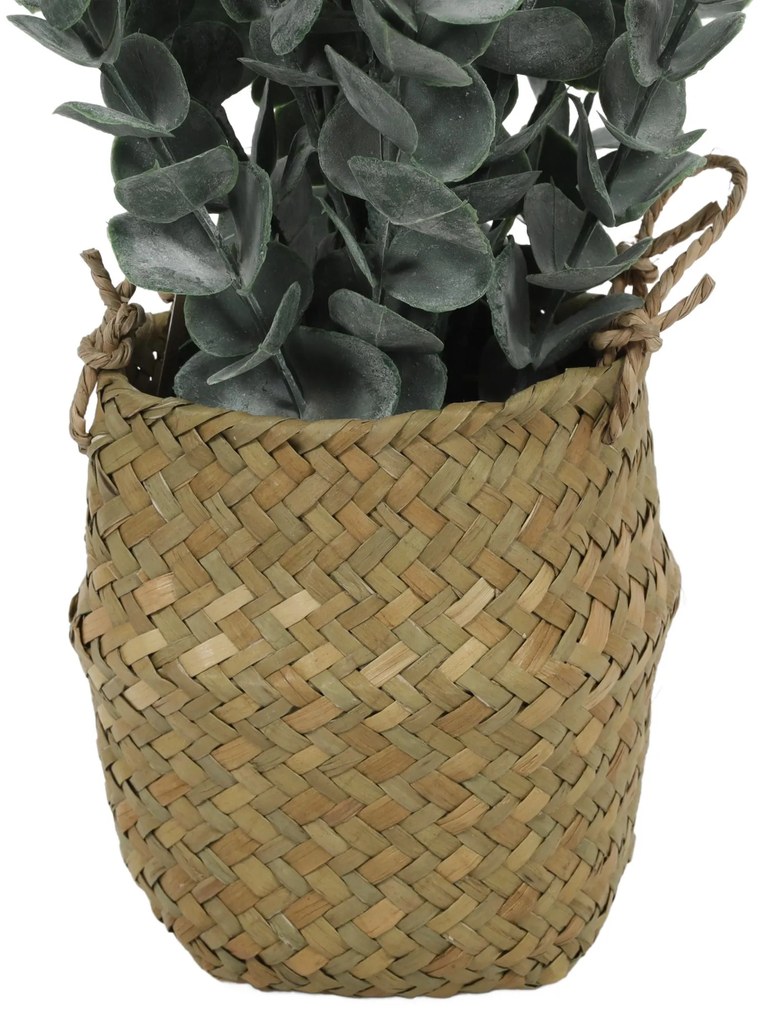 Sztuczna roślina eukaliptus w koszyku, 50 cm