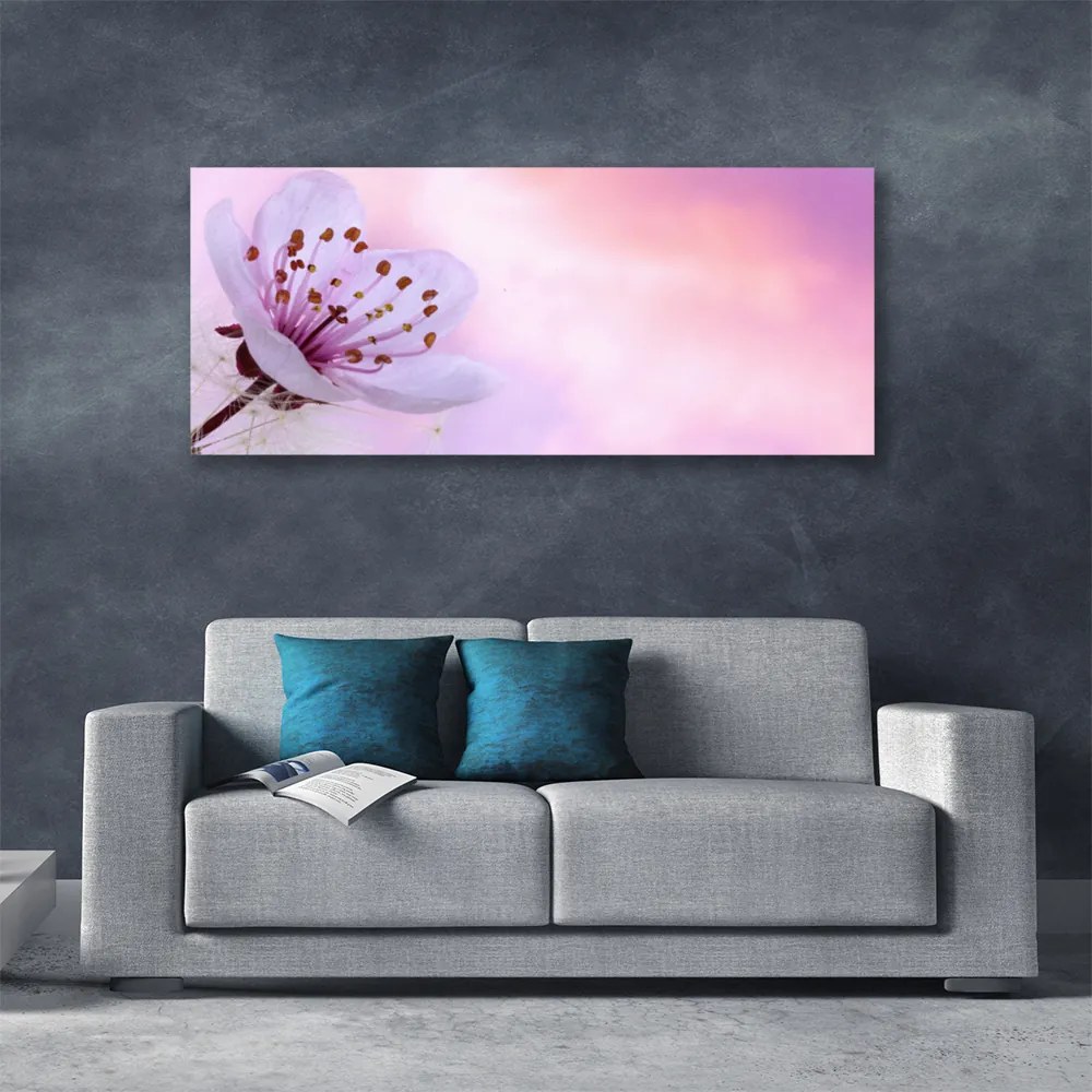 Zdjęcie na płótnie Rozkwitający Kwiat Ogrodowy