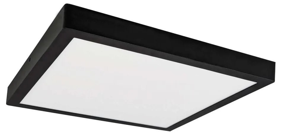 LED Plafon FENIX LED/32W/230V 3800K