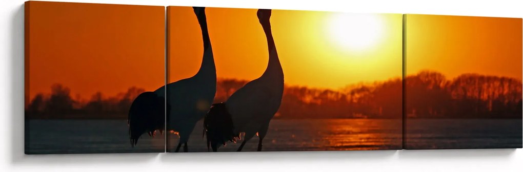 Obraz ptaków o zachodzie słońca (170x50 cm)
