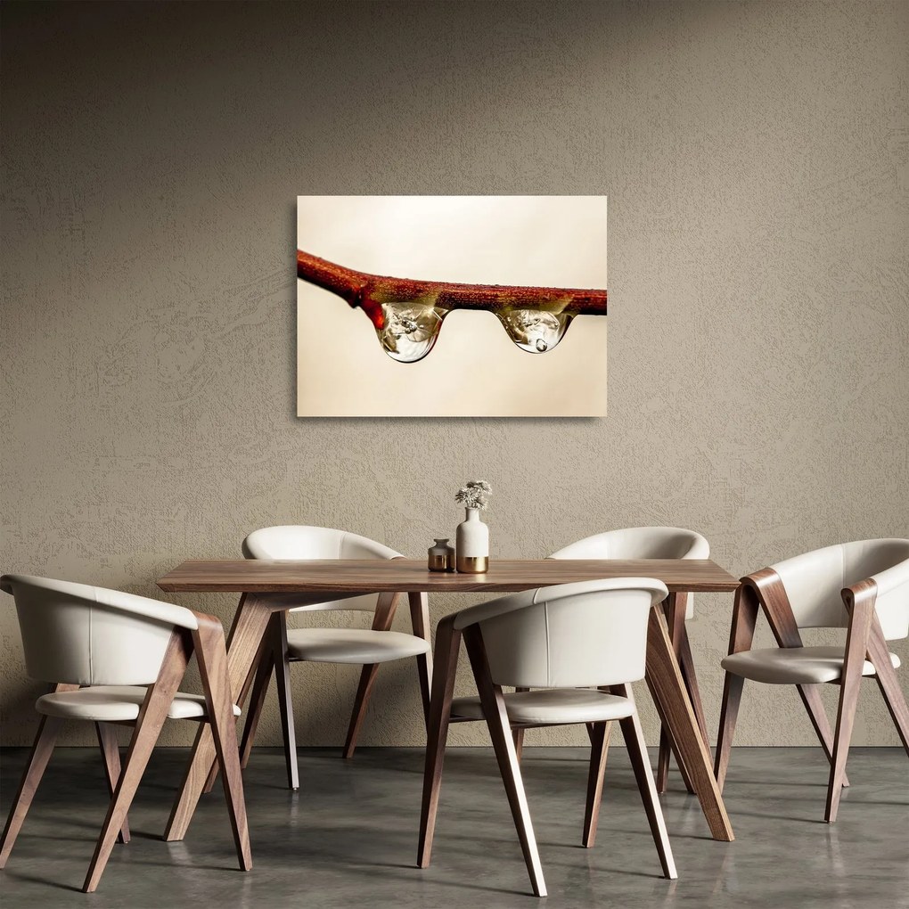 Obraz na szkle - krople na gałęzi (70x50 cm)