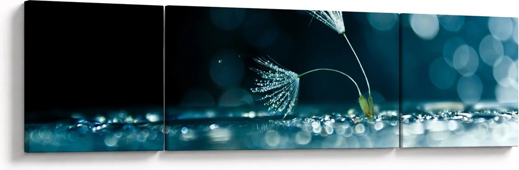 Obraz - Makro (170x50 cm)