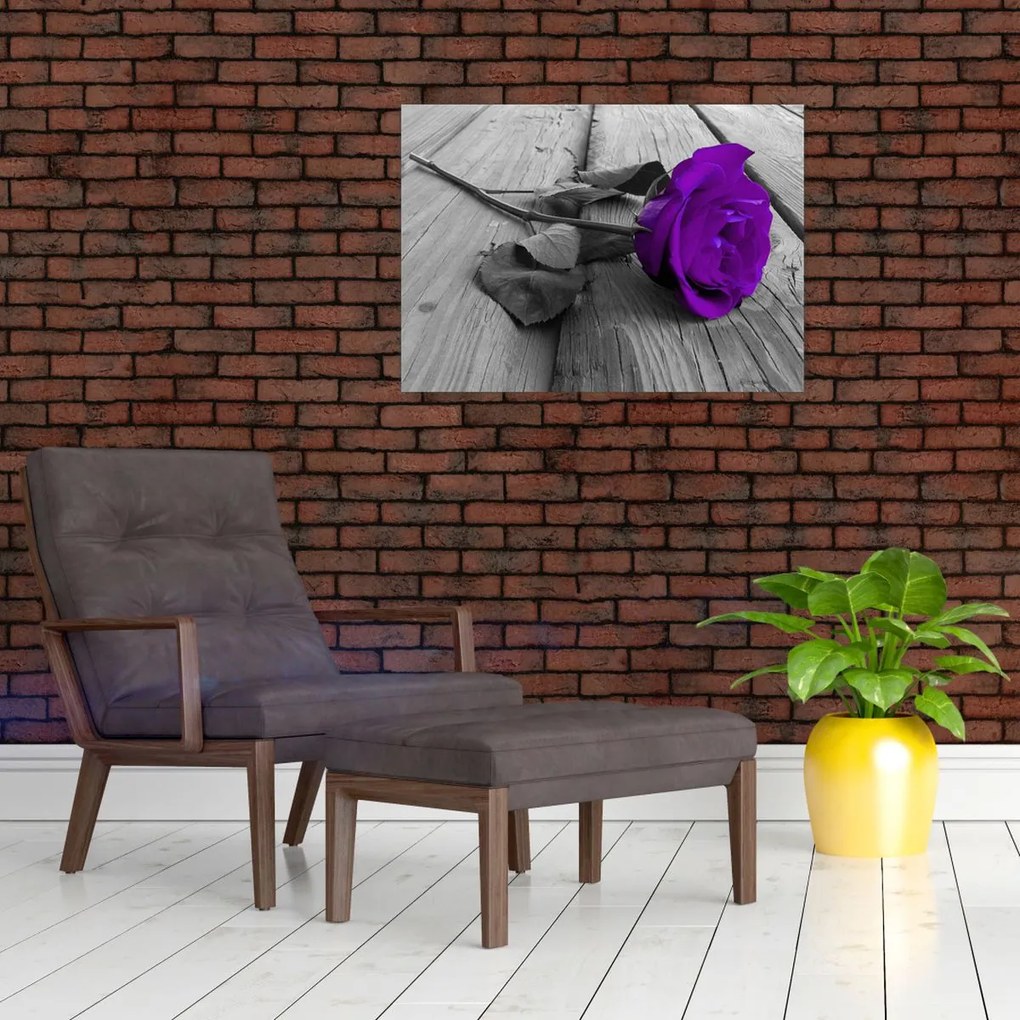 Obraz - Fioletowa róża z zieloną łodygą (70x50 cm)