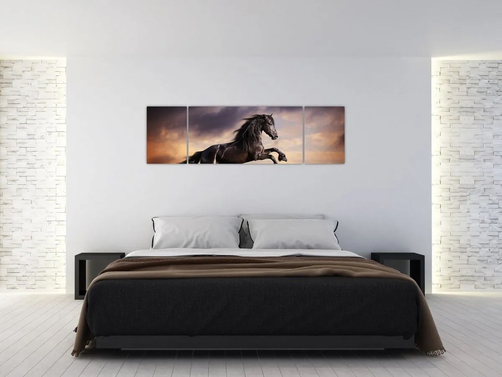 Obraz - Konie (170x50 cm)