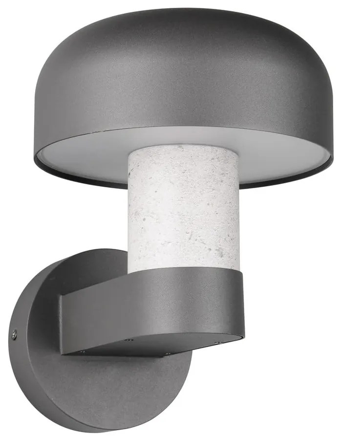 Zewnętrzna lampa ścienna (wysokość 24,5 cm) Fraser – Trio
