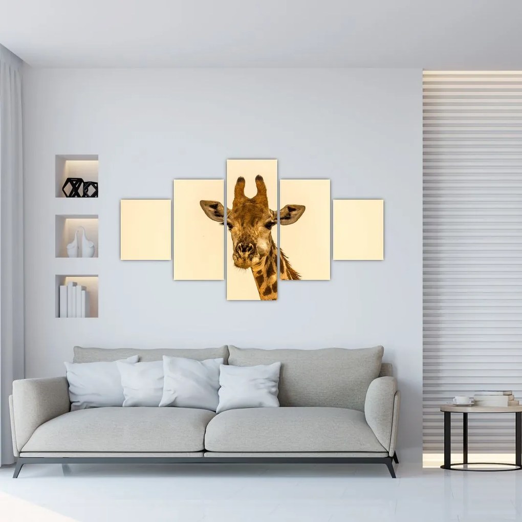 Obraz żyrafy (125x70 cm)