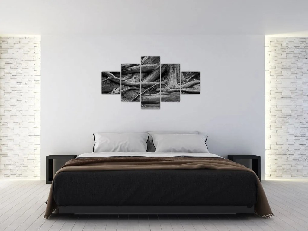 Obraz - Korzenie drzewa (125x70 cm)