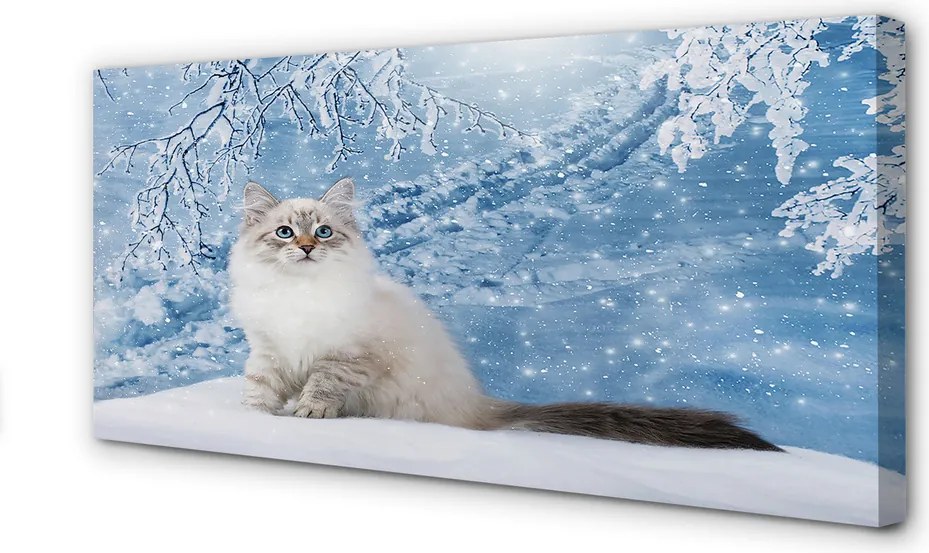 Obraz na płótnie Kot w Zimowej Scenerii