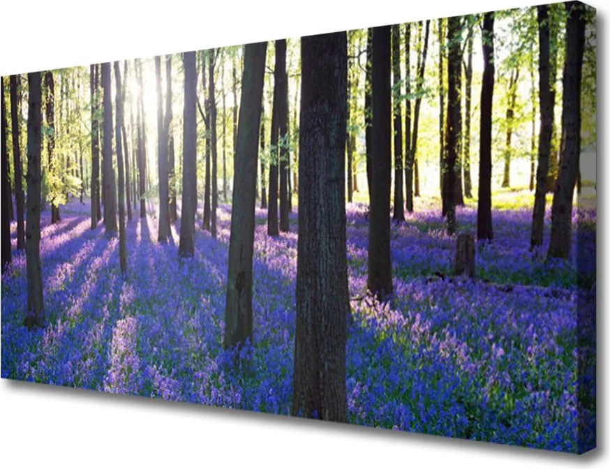 Zdjęcie na płótnie Gęsta Korona Drzew