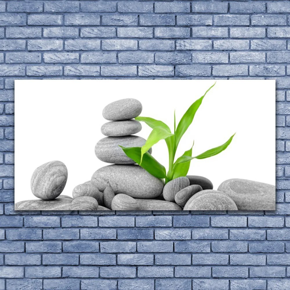 Zdjęcie na płótnie Kompozycja Kamieni i Liści