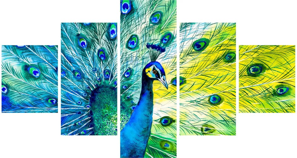 Obraz pawia (125x70 cm)