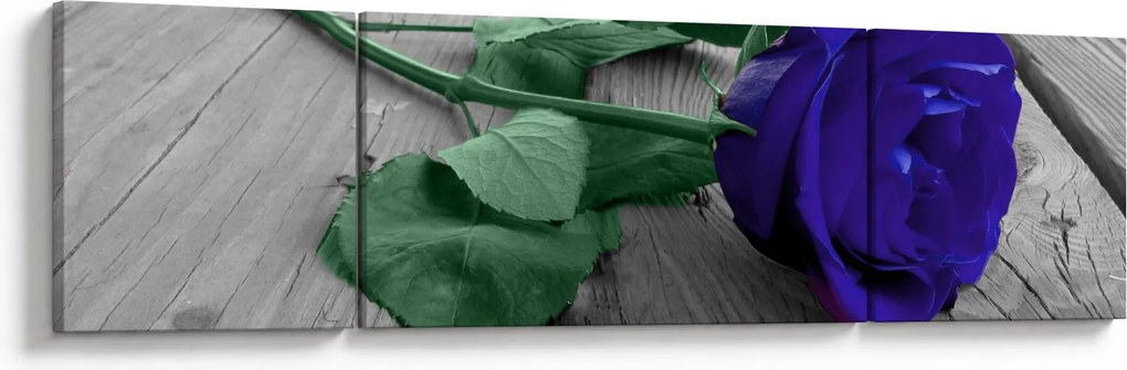 Obraz - Niebieska róża z zieloną łodygą (170x50 cm)