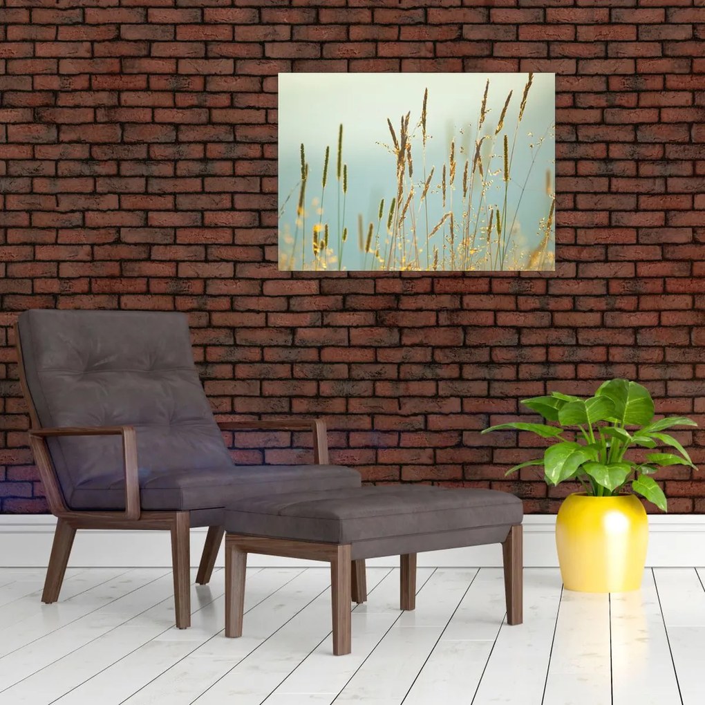 Obraz - Łąkowa chwila (70x50 cm)