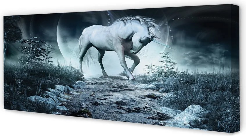 Zdjęcie na płótnie Jednorożec w Lesie przy Księżycu