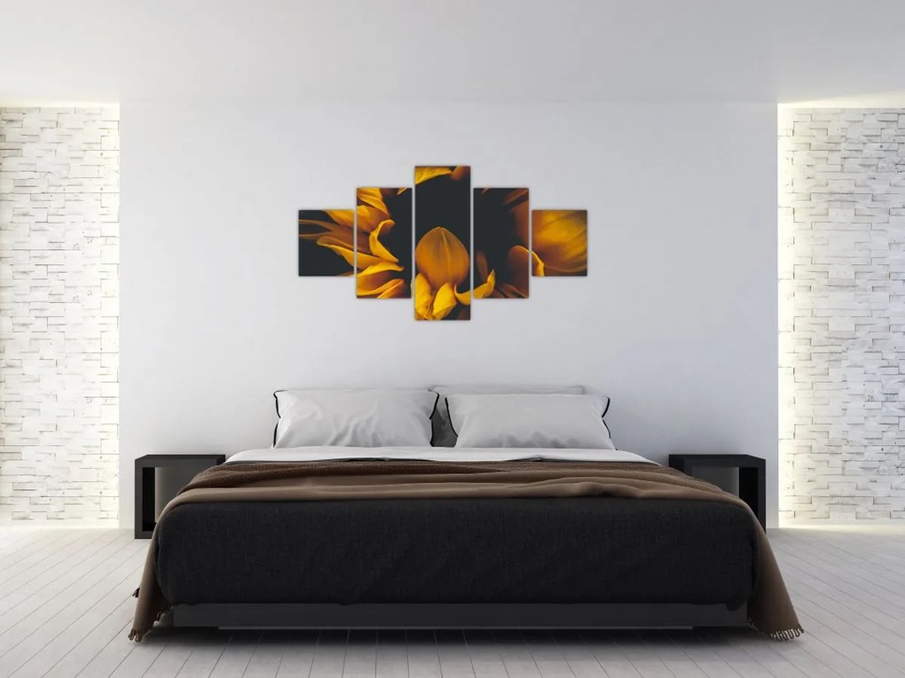 Obraz - Słoneczniki na czarnym tle (125x70 cm)
