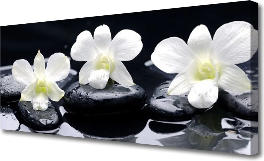 Obraz na płótnie Orchidea w Kompozycji Zen