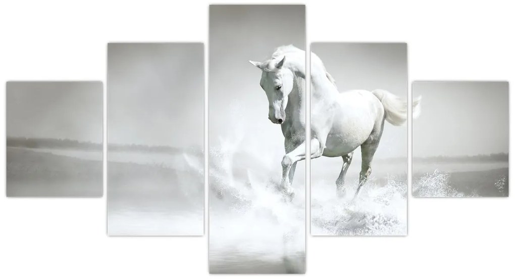 Obraz - Biały koń (125x70 cm)