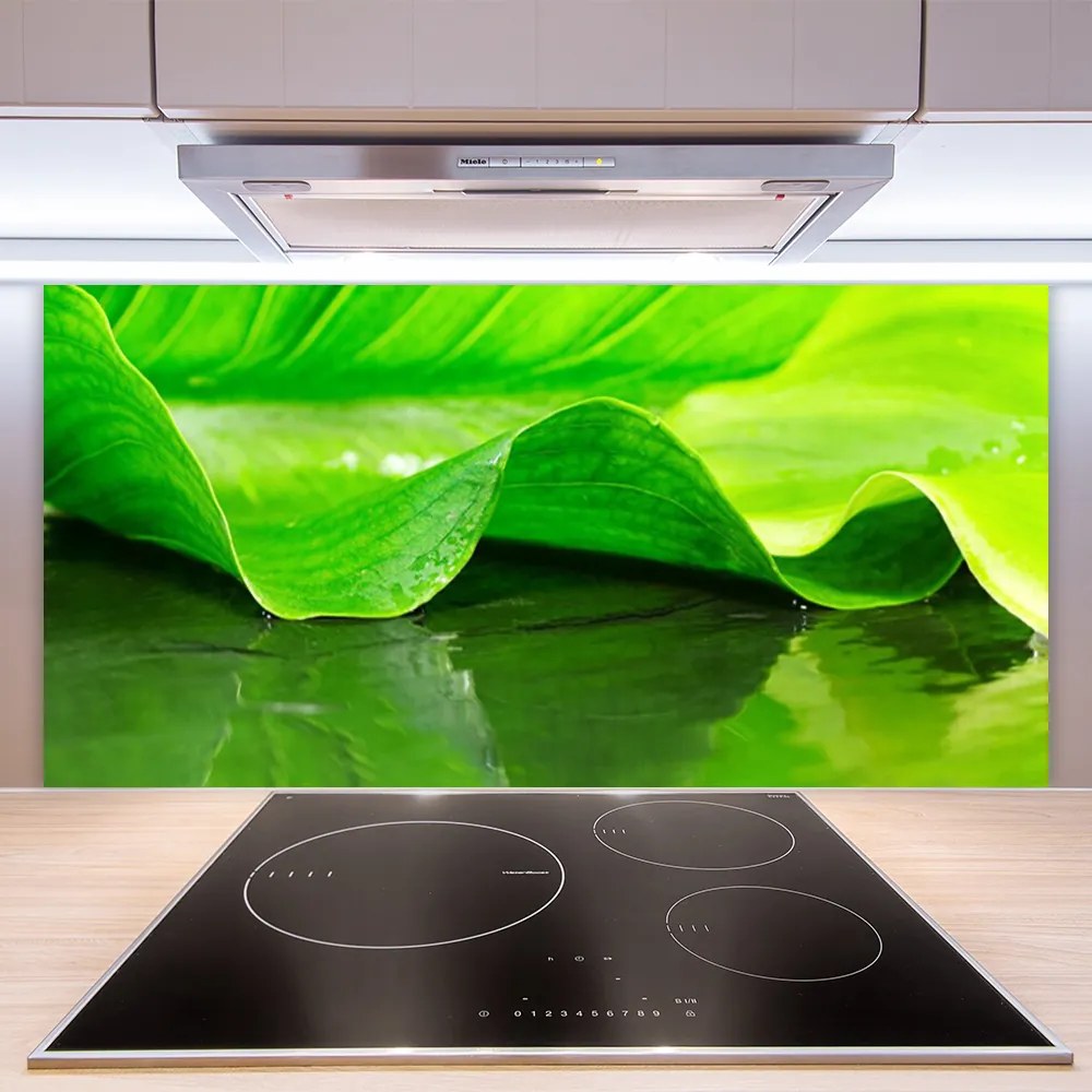 Panel Szklany Makro Struktura Liścia