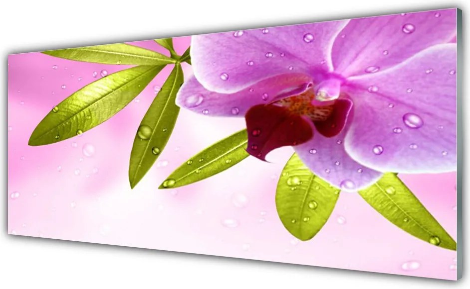 Panel Kuchenny Botaniczna Elegancja Kwiatu