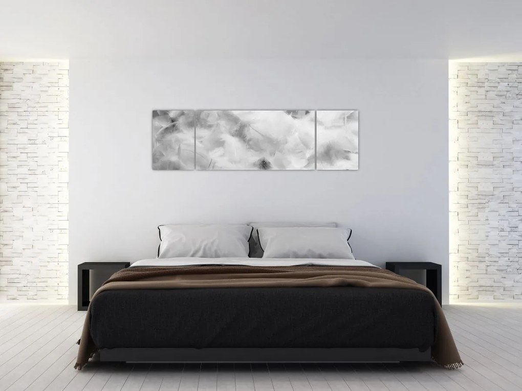 Obraz - Chmury piór (170x50 cm)
