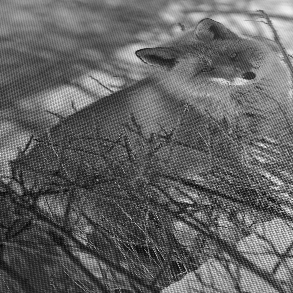 Obraz - Lis w zimie (125x70 cm)
