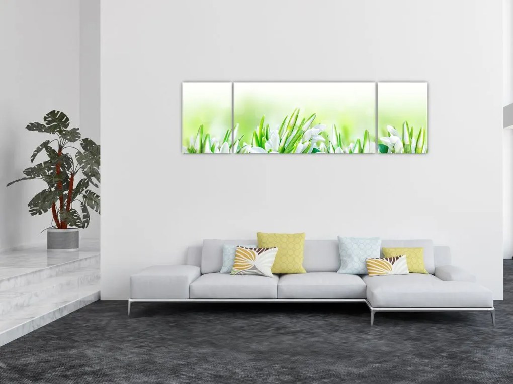 Obraz - Przebiśniegi (170x50 cm)