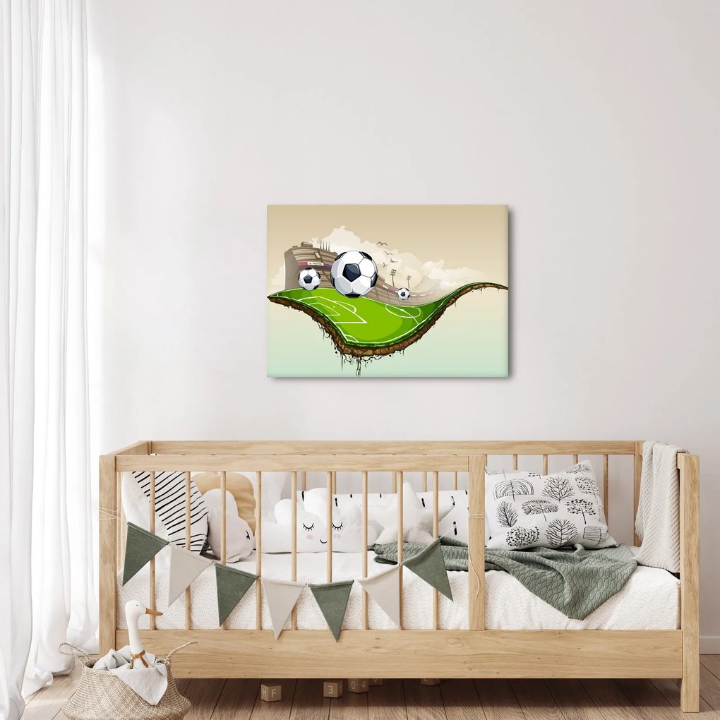 Obraz - Boisko do piłki nożnej (70x50 cm)