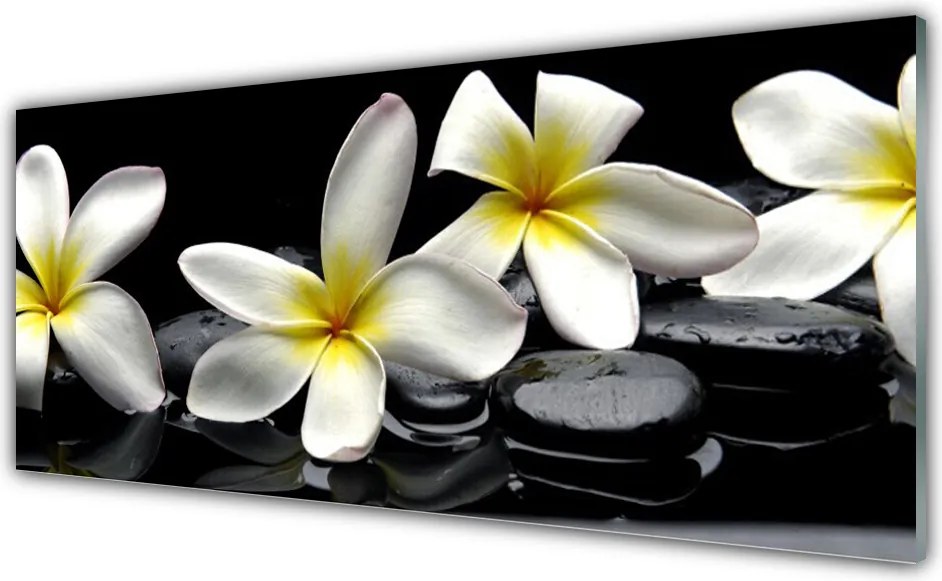 Panel Szklany do Kuchni Egzotyczny Kwiat Plumerii