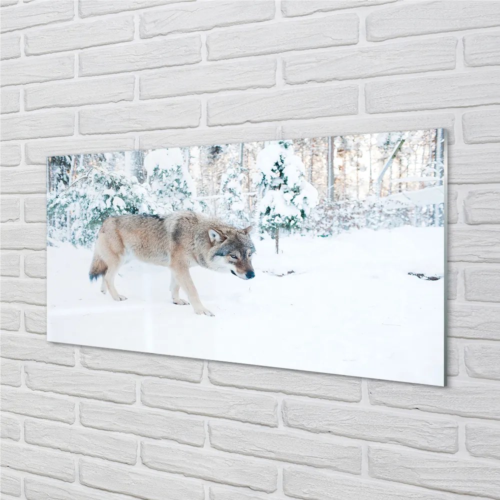 Panel Szklany Wilk zima las