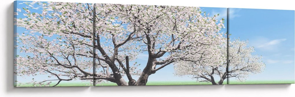 Obraz drzew (170x50 cm)