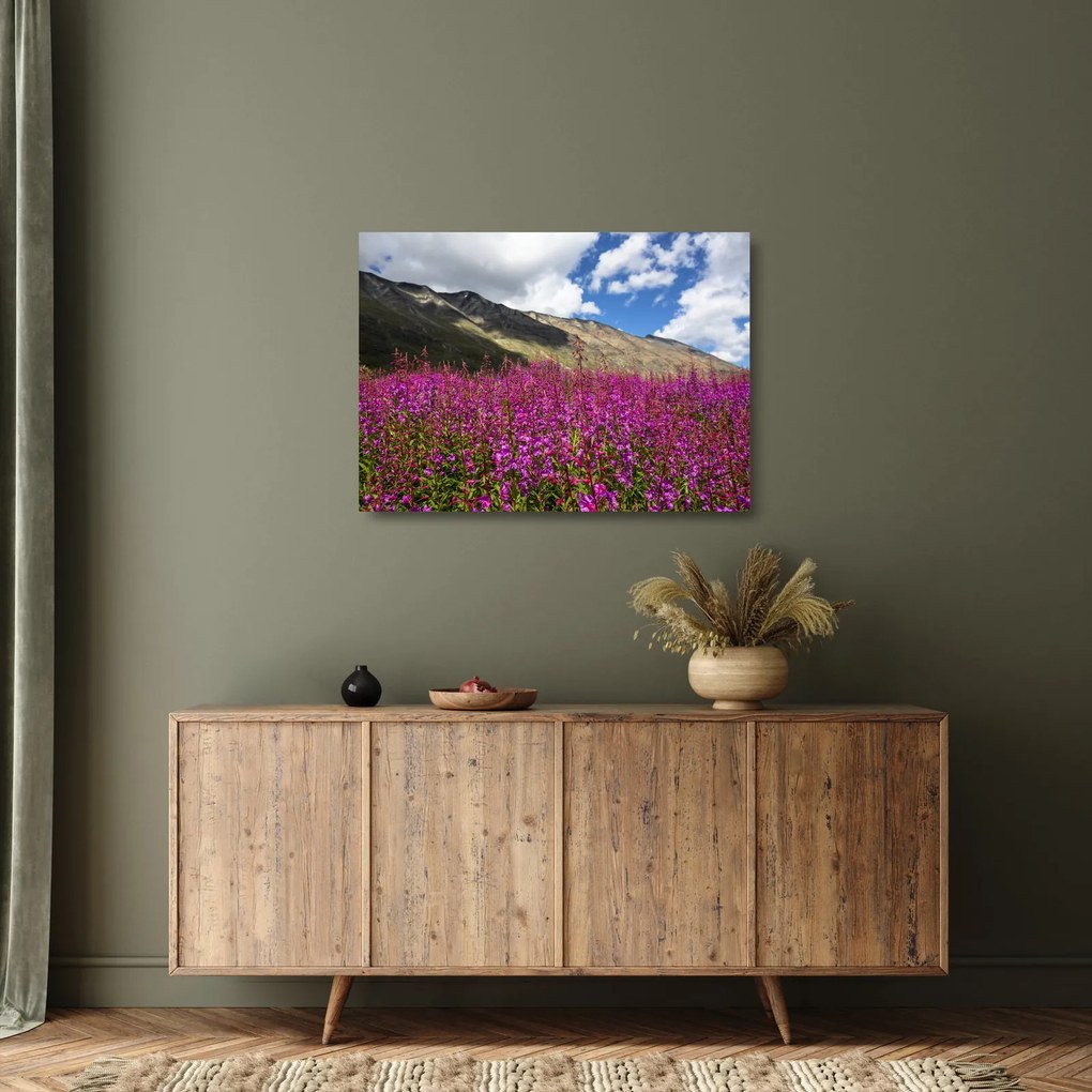 Obraz na szkle scenerii łąki górskiej (70x50 cm)