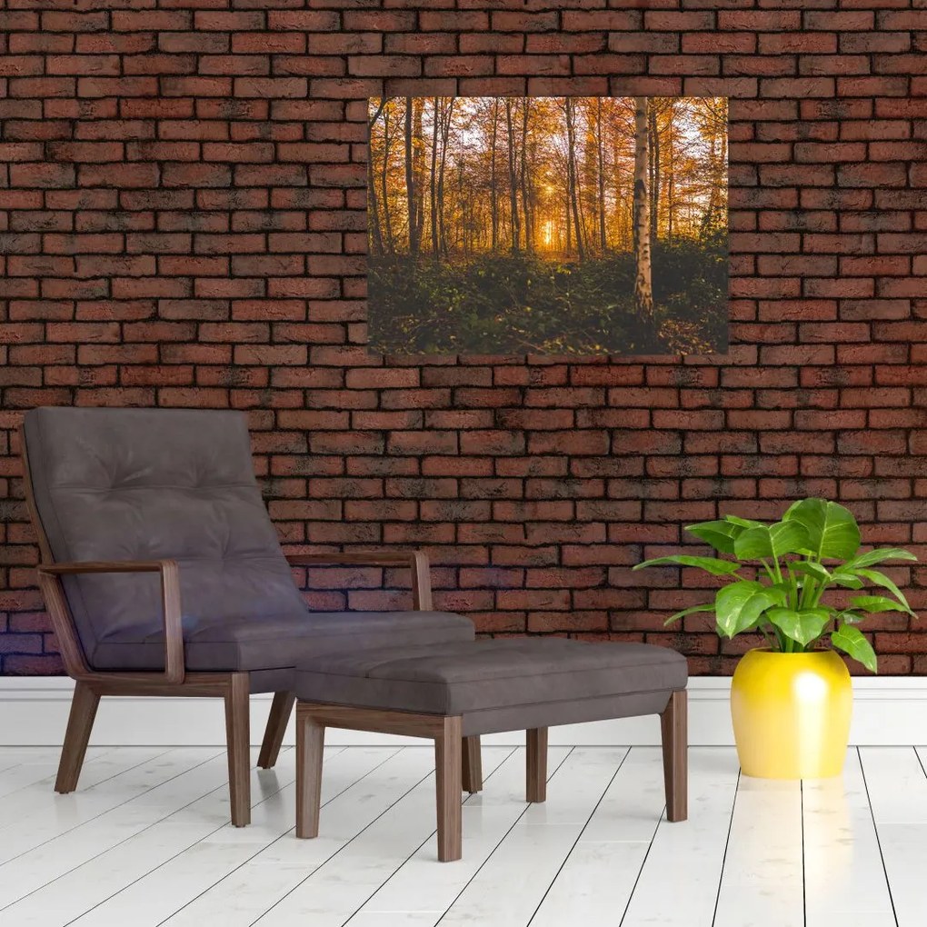 Obraz na szkle jesiennego lasu (70x50 cm)