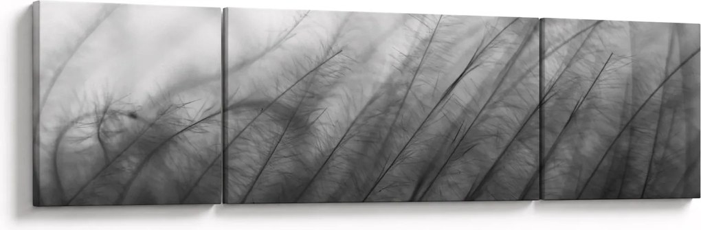 Obraz - Trawa na wietrze (170x50 cm)
