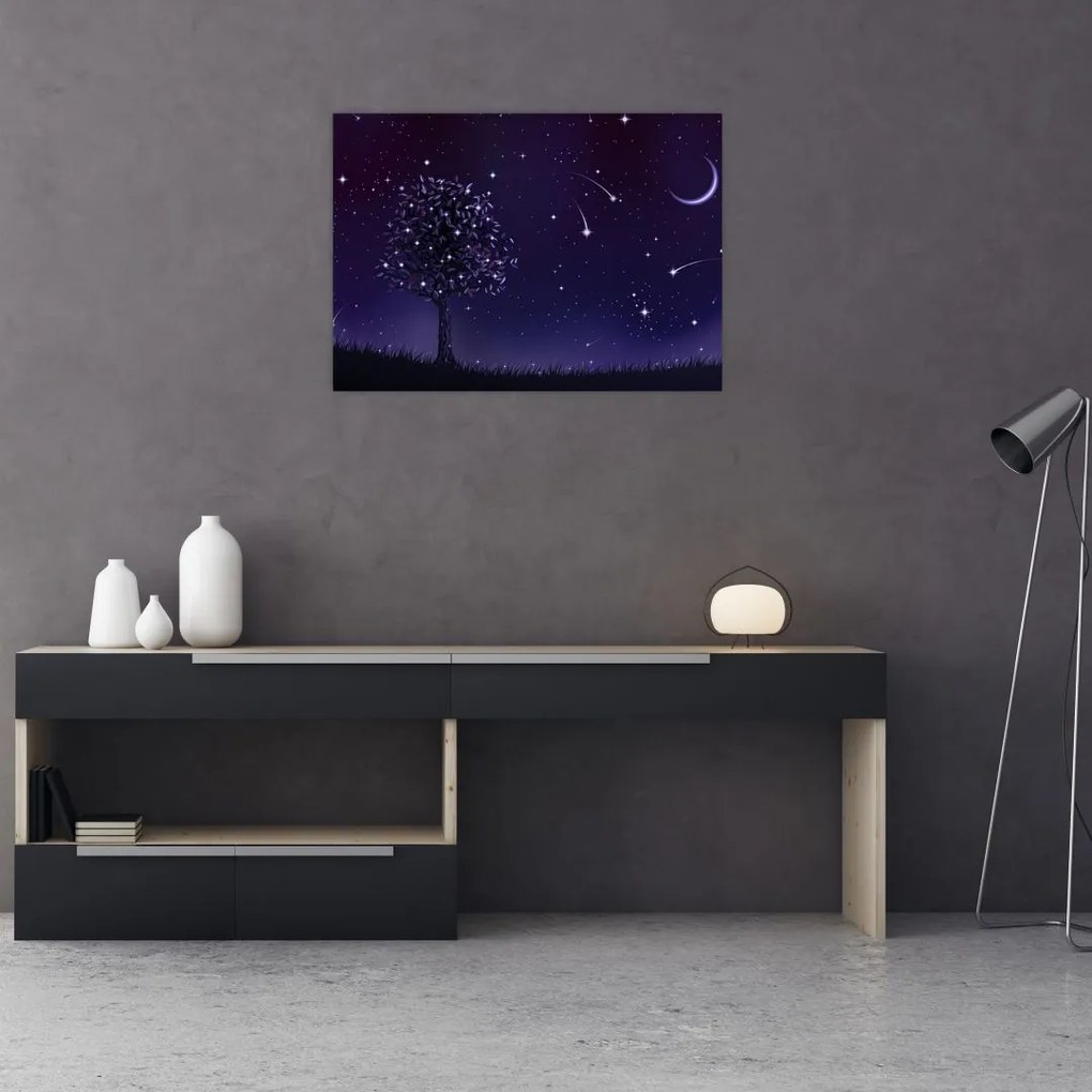 Obraz - Noc uchwycona przez ilustrację (70x50 cm)