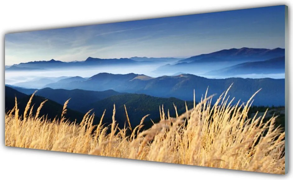 Panel Szklany do Kuchni Złociste Łany Zboża