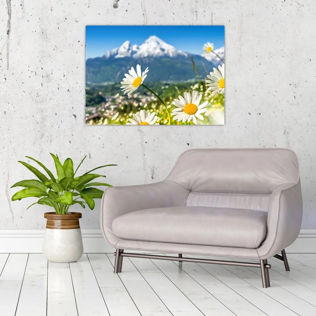 Obraz - Wiosna w Alpach (70x50 cm)