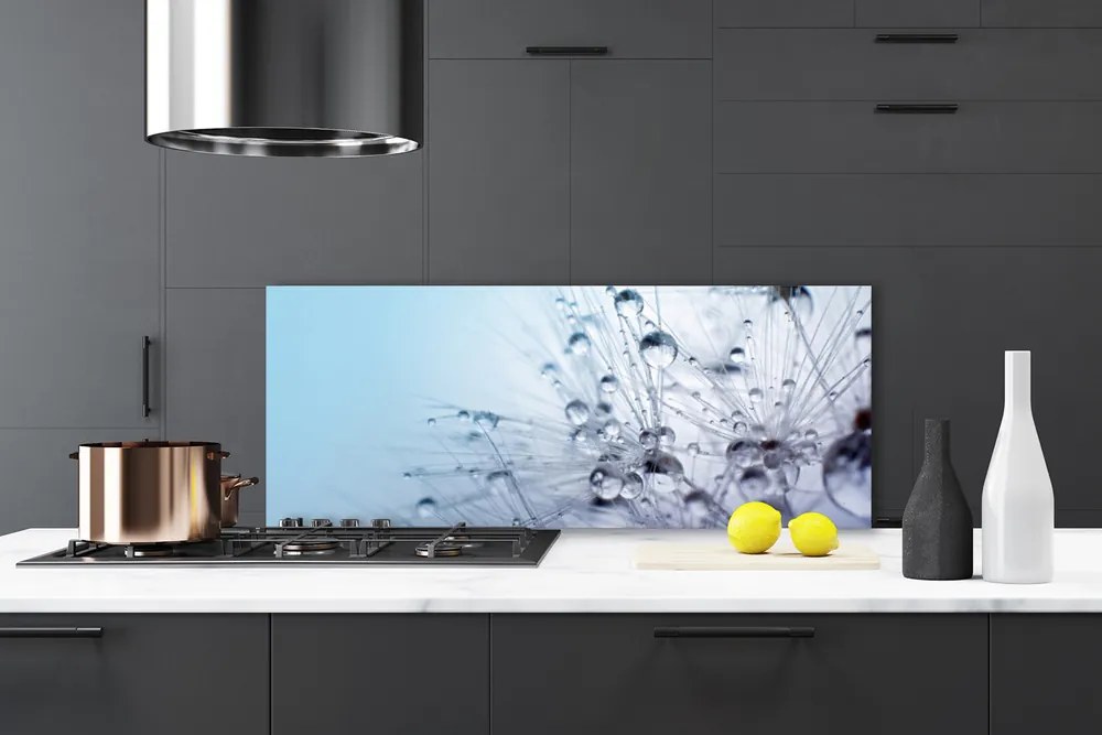 Panel Szklany do Kuchni Puszysta Kula Mniszka