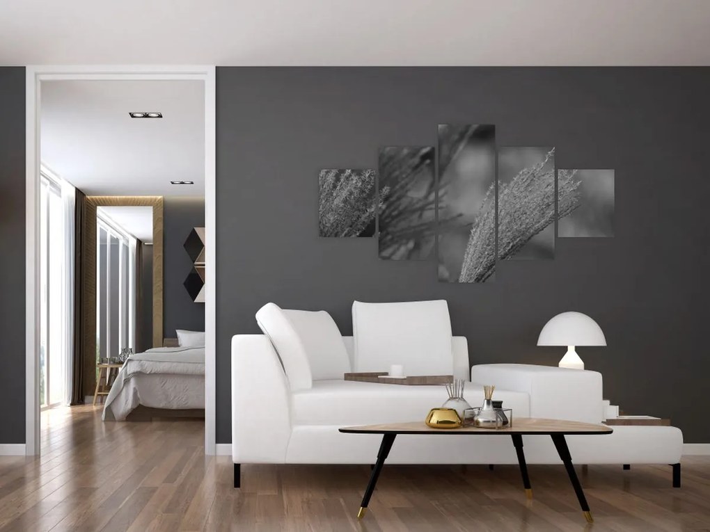 Obraz - Suszona trawa pampasowa (125x70 cm)