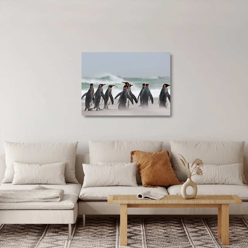 Obraz na szkle pingwinów nad oceanem (70x50 cm)