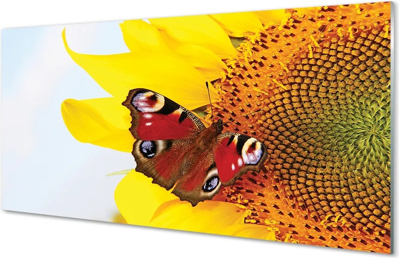 Panel Szklany Motyl na tle Słonecznika