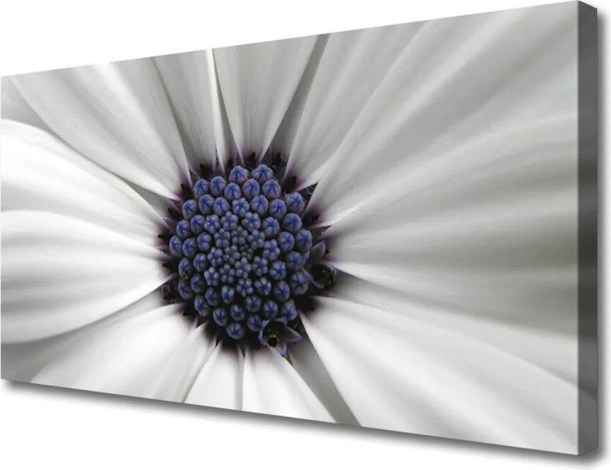 Duży obraz na płótnie Kwiatowy Akcent Wnętrza