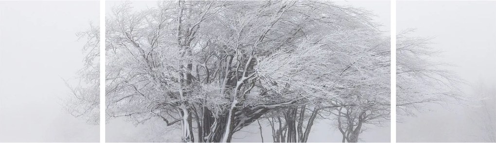 Obraz - Biała zima (170x50 cm)