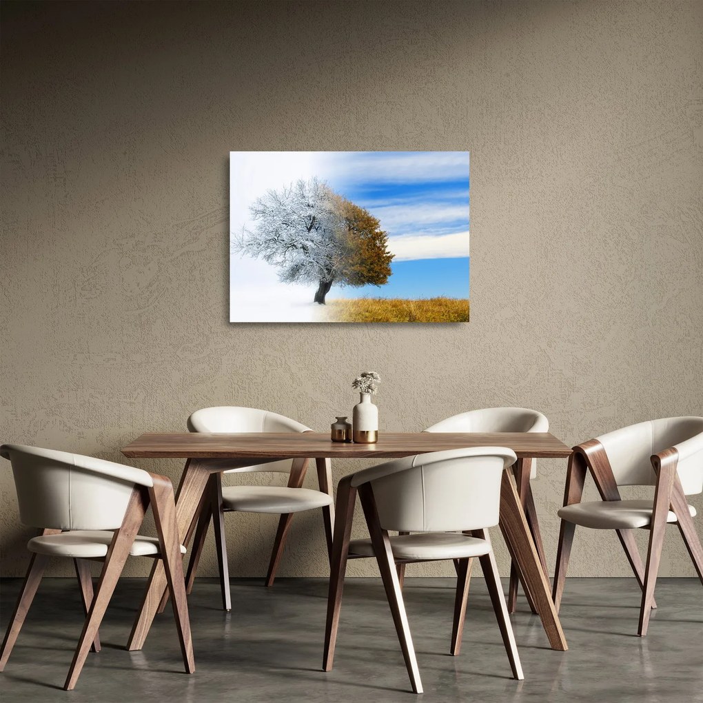 Obraz na szkle - Zmiana pór roku (70x50 cm)