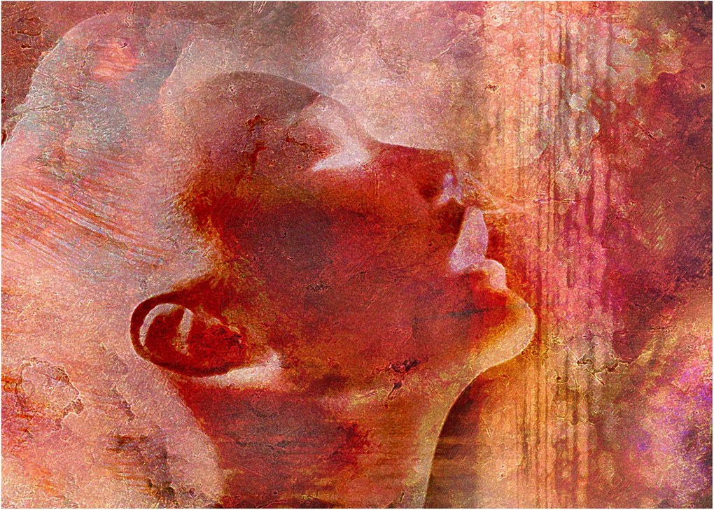 Obraz - Profil twarzy kobiety (70x50 cm)
