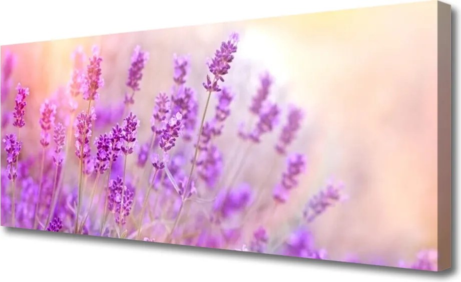 Obraz canvas na ścianę Słoneczny Dzień na Polu Lawendy