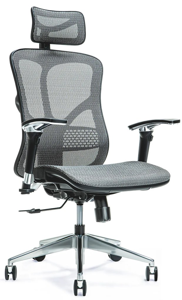 Wygodny fotel biurowy ergonomiczny Ergo 500. Fotel tapicerowany przewiewną siatką Mesh, 5 kolorów do wyboru. Fotel ma regulowane oparcie, podłokietniki. wysokość zagłówka. Nowoczesne meble biurowe.
